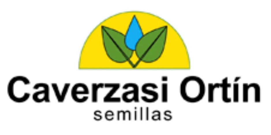 Caversazi