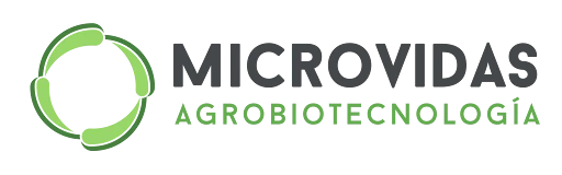 Microvidas